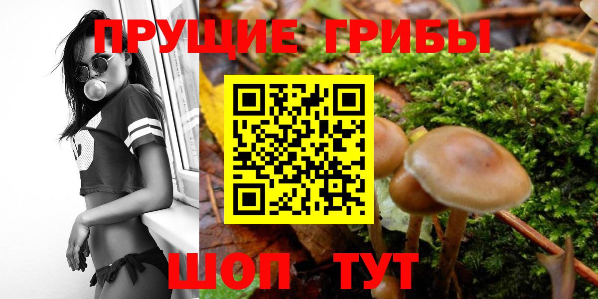 Галлюциногенные грибы GOLDEN TEACHER Норильск