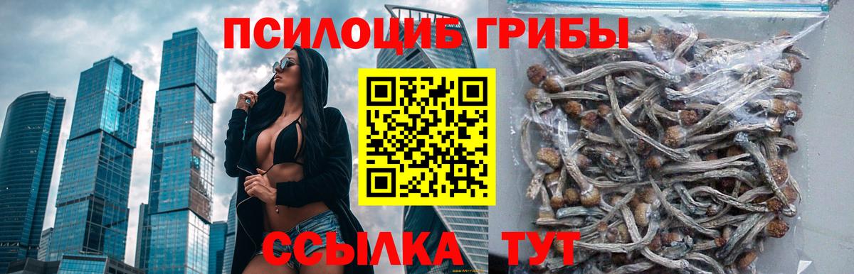 Галлюциногенные грибы мицелий  Вход с VPN  наркота  Норильск 